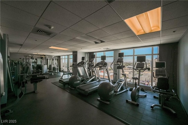 gym featuring a wall of windows and a drop ceiling