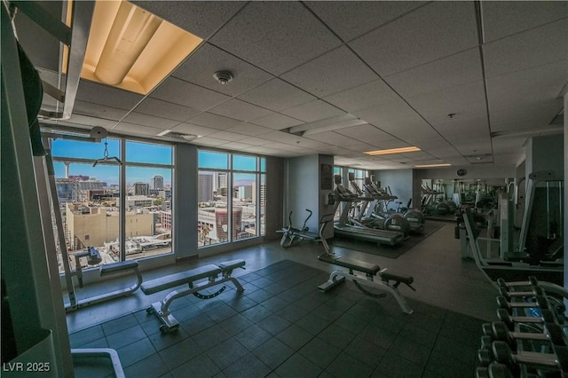 workout area featuring floor to ceiling windows and a drop ceiling