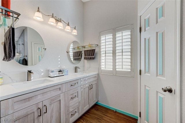 bathroom with wood-type flooring and vanity