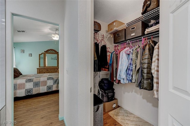 walk in closet with ceiling fan and light wood-type flooring