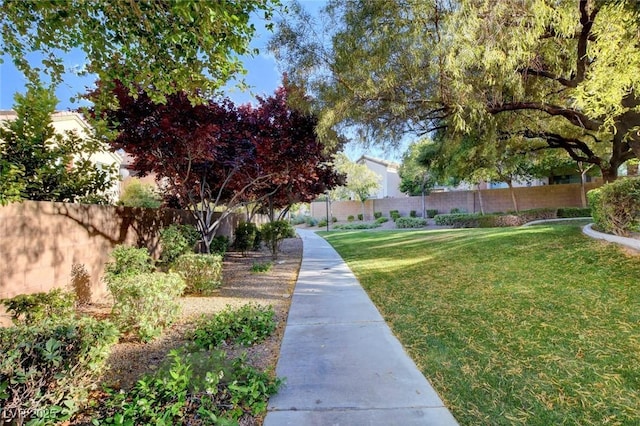 view of community featuring a lawn