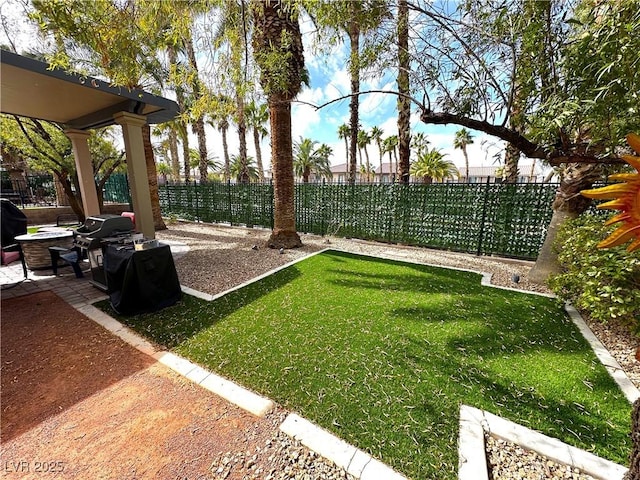 view of yard featuring a patio and a fenced backyard