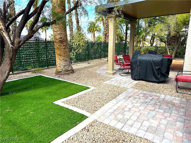 view of yard featuring a patio and a fenced backyard