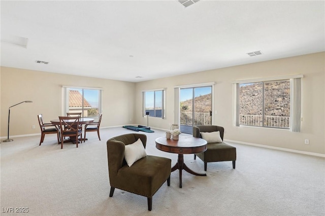 carpeted living room with a wealth of natural light