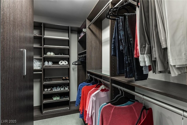 view of walk in closet