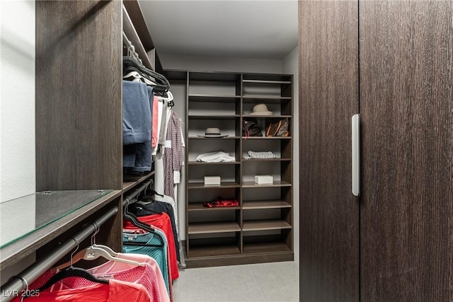 walk in closet featuring carpet flooring