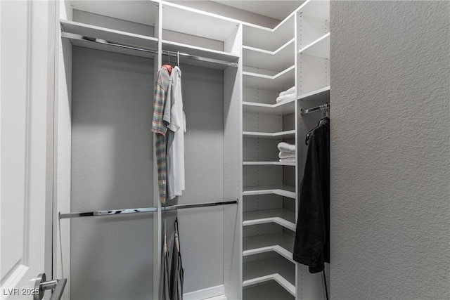 view of spacious closet