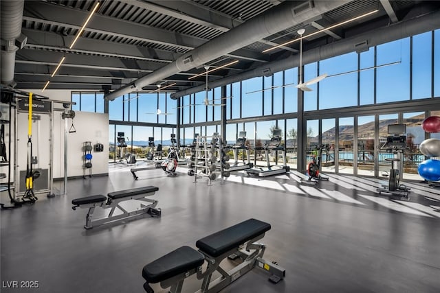 exercise room with floor to ceiling windows and a towering ceiling