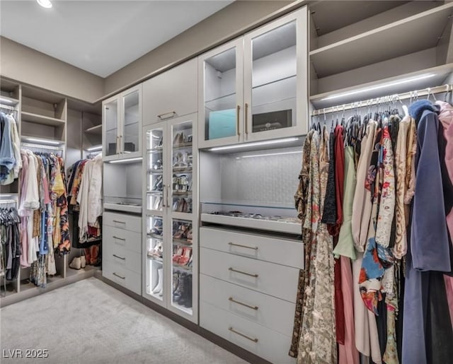 walk in closet with light colored carpet