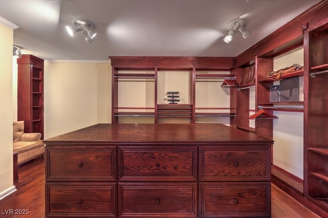 walk in closet with dark wood finished floors