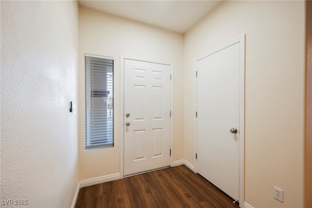 doorway with dark hardwood / wood-style flooring