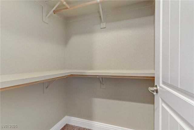 view of spacious closet