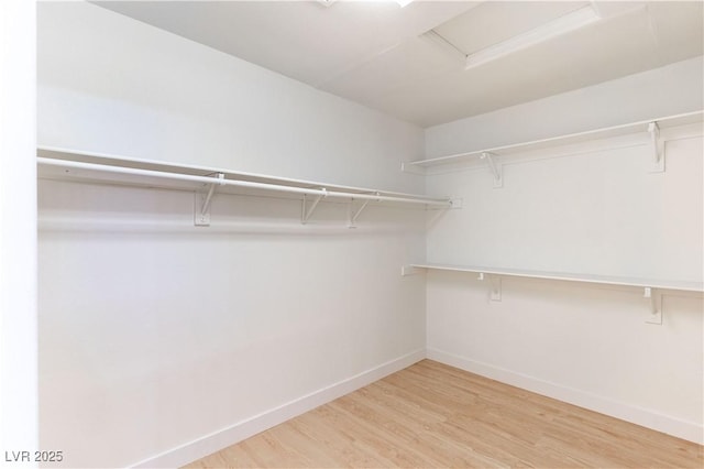 4507 Golden Palomino Ln, North Las Vegas, NV 89032 - walk in closet with light wood-style flooring and attic access