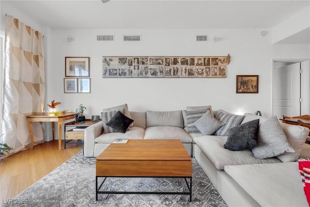 living room featuring wood-type flooring