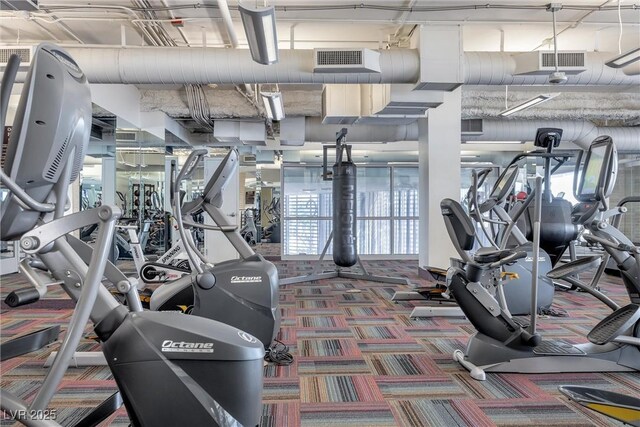 exercise room featuring carpet floors