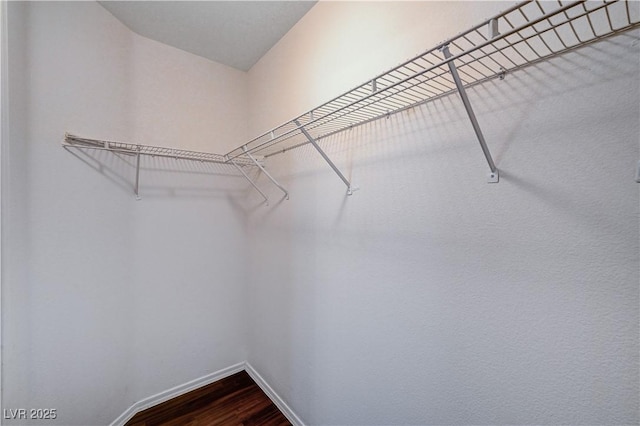 spacious closet featuring wood-type flooring