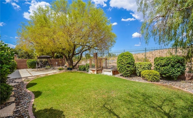 view of yard featuring a patio