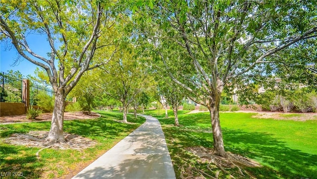 view of property's community with a yard