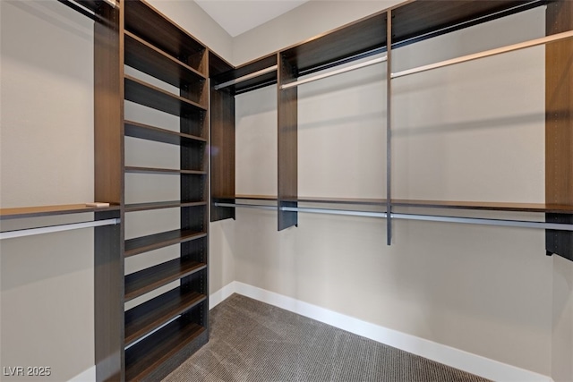 walk in closet featuring carpet floors