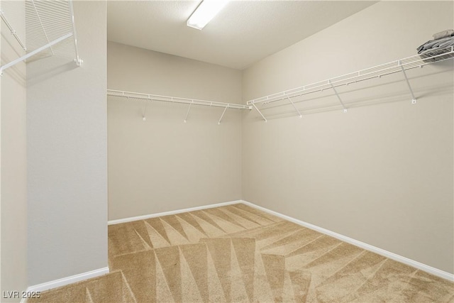 walk in closet with carpet floors