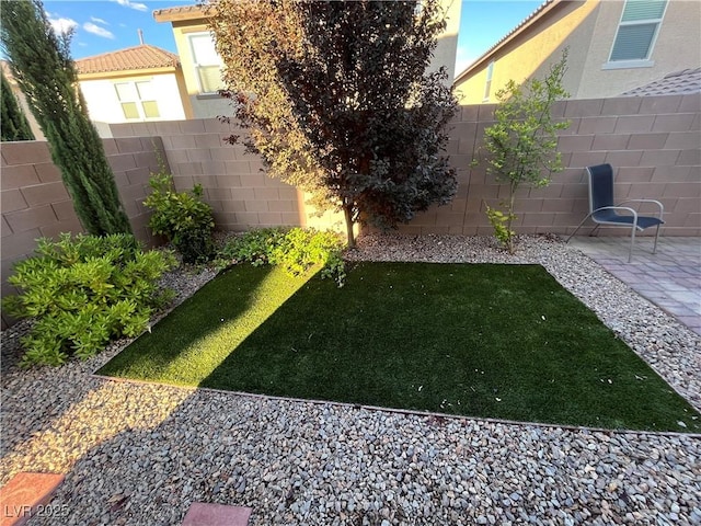 view of yard featuring a fenced backyard and a patio