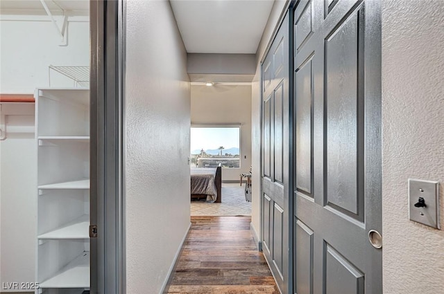 hallway featuring dark wood-type flooring