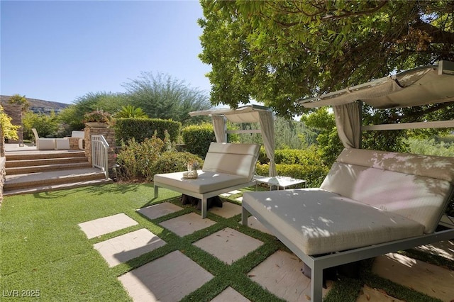 view of yard featuring a patio area