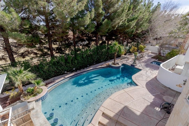 view of swimming pool featuring area for grilling