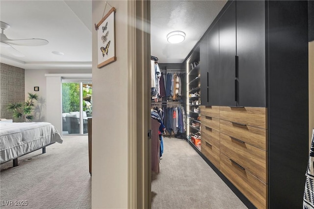 spacious closet featuring ceiling fan and light carpet