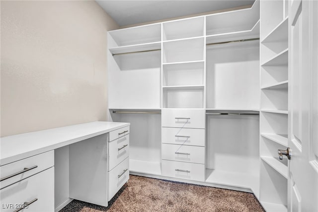 spacious closet with light carpet