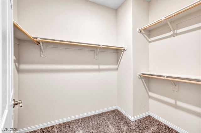 spacious closet featuring carpet floors