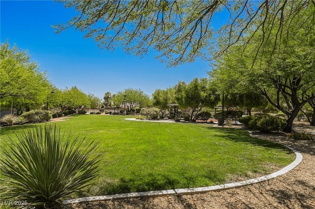 view of community with a lawn