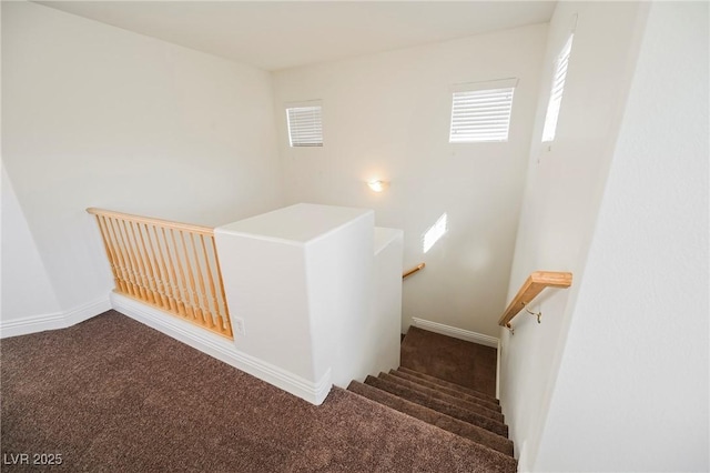 staircase with carpet floors