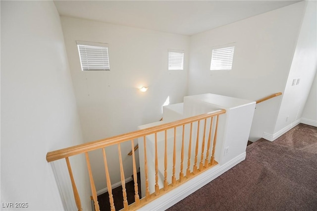 staircase featuring carpet