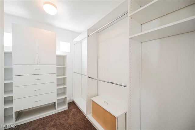 spacious closet with dark colored carpet