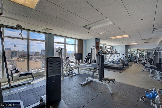 workout area featuring a drop ceiling and a wall of windows