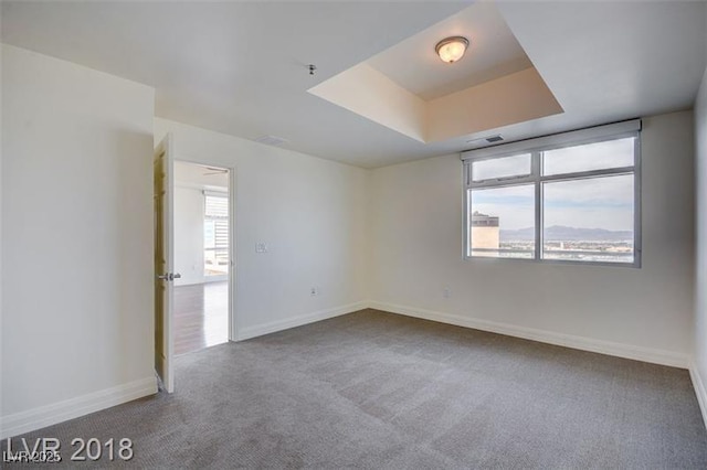 carpeted empty room with plenty of natural light and a tray ceiling