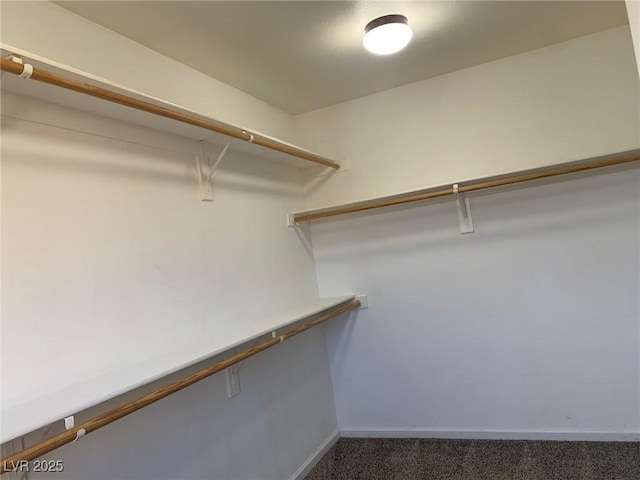 spacious closet with carpet floors