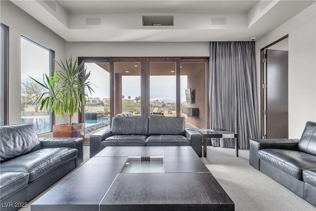 living room featuring a raised ceiling and carpet