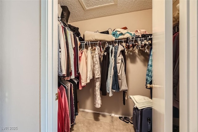 view of walk in closet