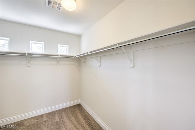 walk in closet featuring carpet flooring