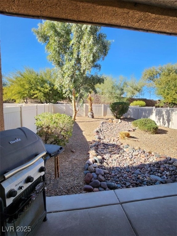 view of yard featuring a patio