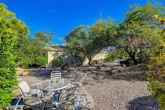 view of yard featuring a patio