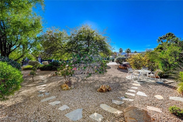 view of yard featuring a patio area