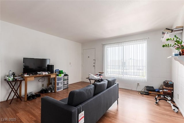 living room featuring wood-type flooring