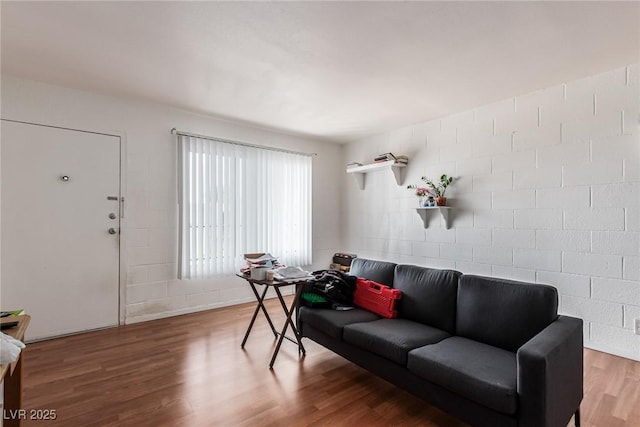 living room featuring wood-type flooring