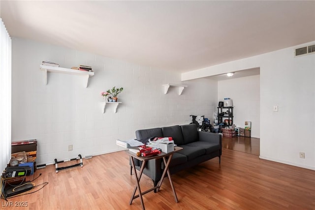 living room featuring hardwood / wood-style flooring