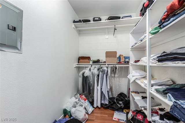 walk in closet with wood-type flooring and electric panel