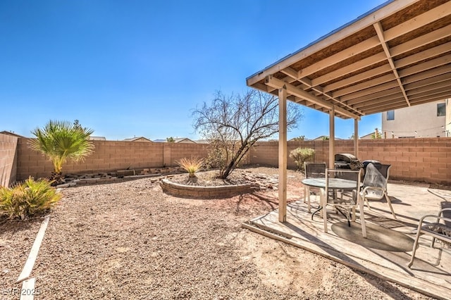 view of yard featuring a patio area