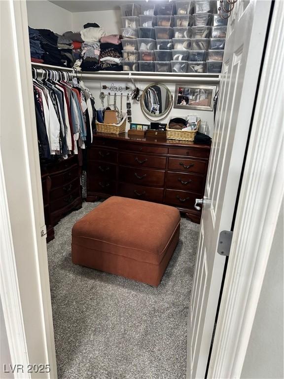 spacious closet featuring carpet floors